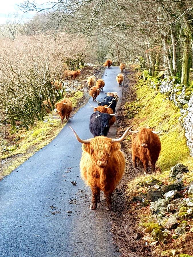 Kirk Cottage Tobermory Bagian luar foto